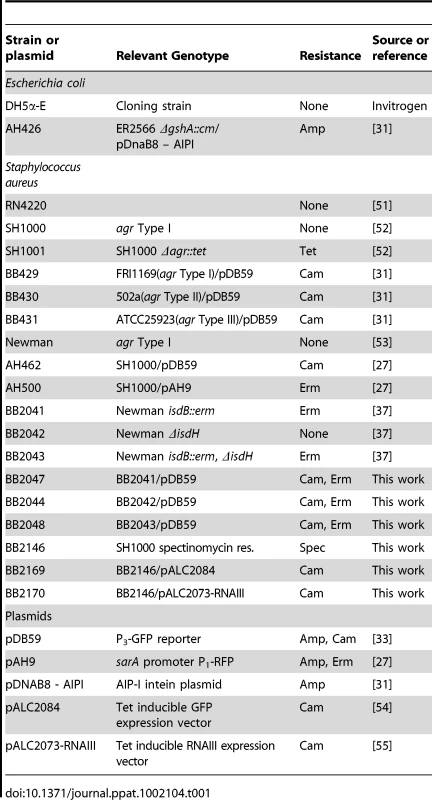 Strain and plasmid list.
