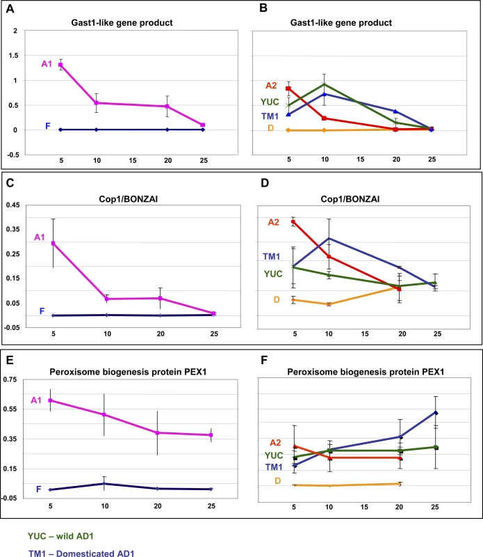 Quantitative Real-Time PCR Analyses of Three Candidate Genes Controlling H<sub>2</sub>O<sub>2</sub> Levels