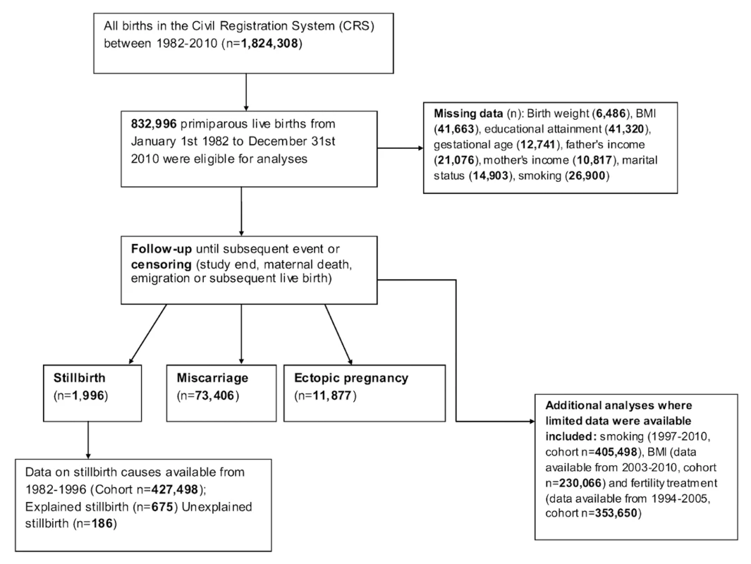 Flow diagram of study participants.