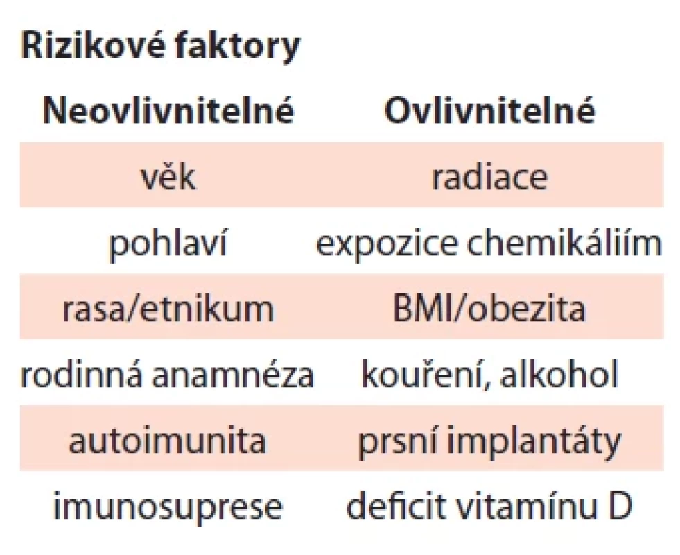 Rozdělení rizikových faktorů u non-Hodgkinova lymfomu.