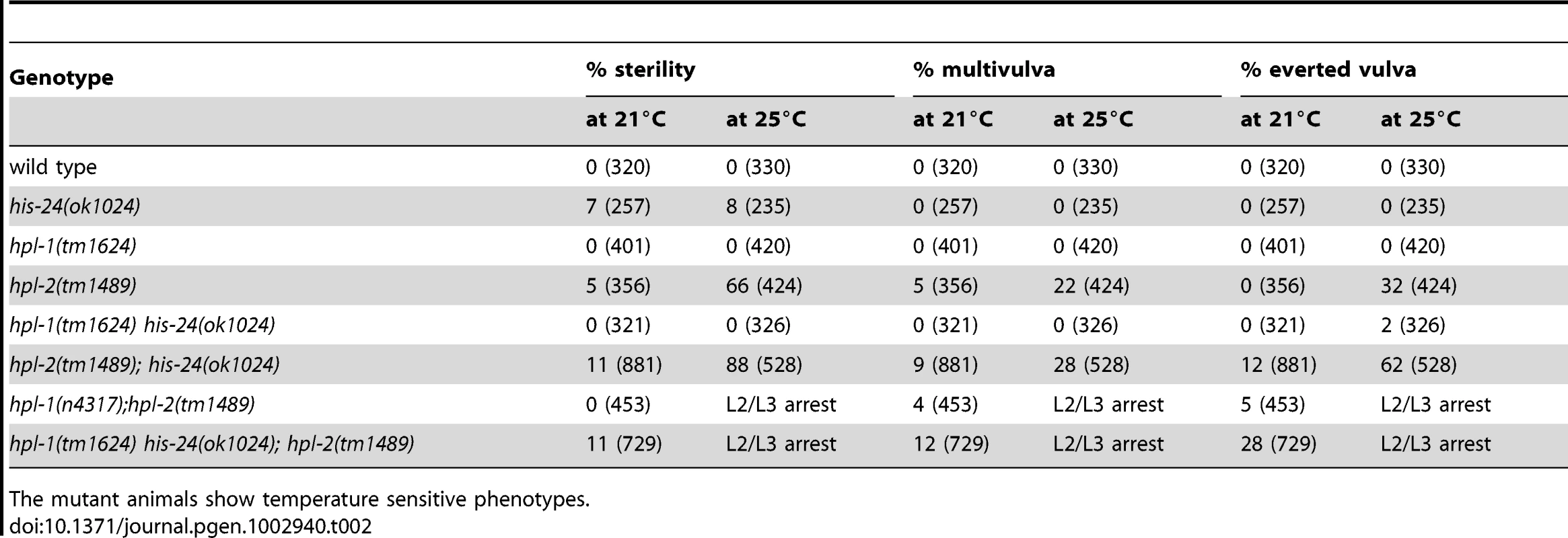 Genetic interaction of <i>hpl-1</i>, <i>hpl-2</i>, and <i>his-24</i>.