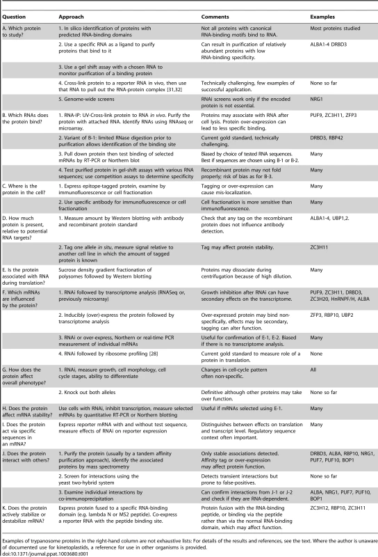 Methods that can be used to study the functions of mRNA-binding proteins.
