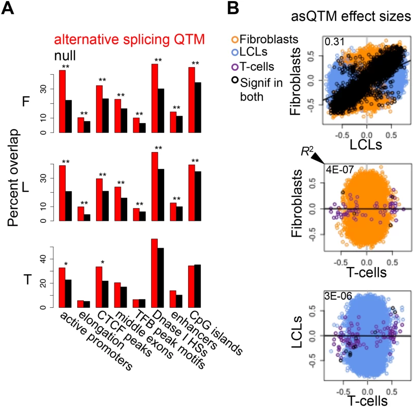 Associations between DNA methylation and alternative splicing.