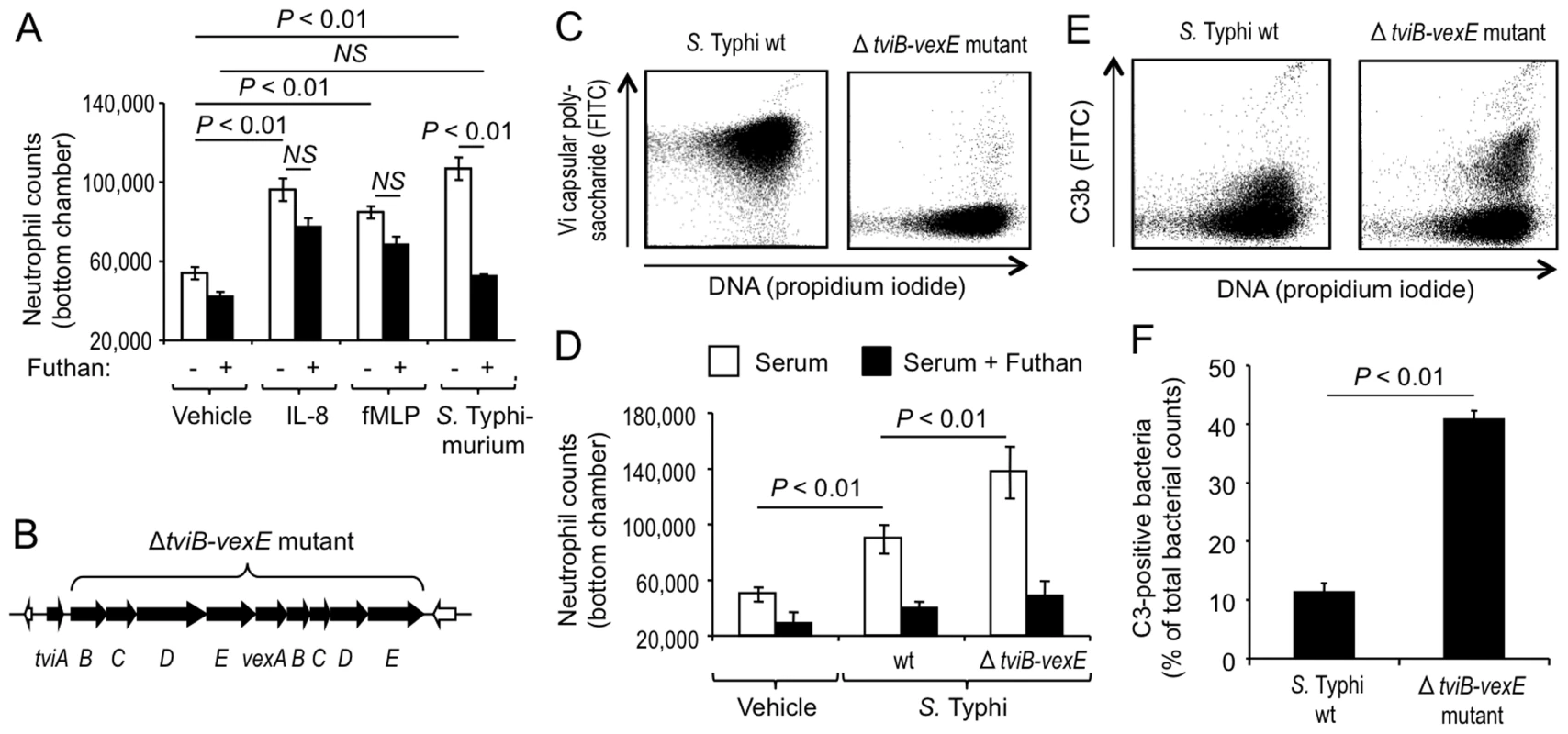 The Vi capsular polysaccharide inhibits complement-dependent chemotaxis <i>in vitro</i>.