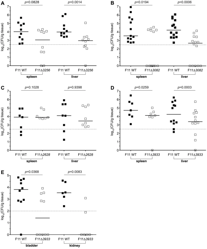 Tn-seq and TEA-derived candidate genes promote the fitness of F11 within murine models of bacteremia and urinary tract infection.