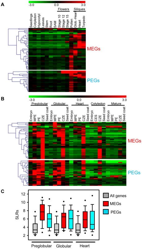 Expression Analysis of MEGs and PEGs in Vegetative and Seed Tissues.