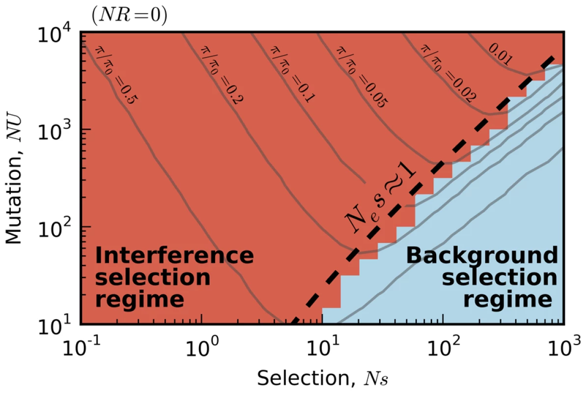 Existing predictions for silent-site diversity break down in the interference selection regime.