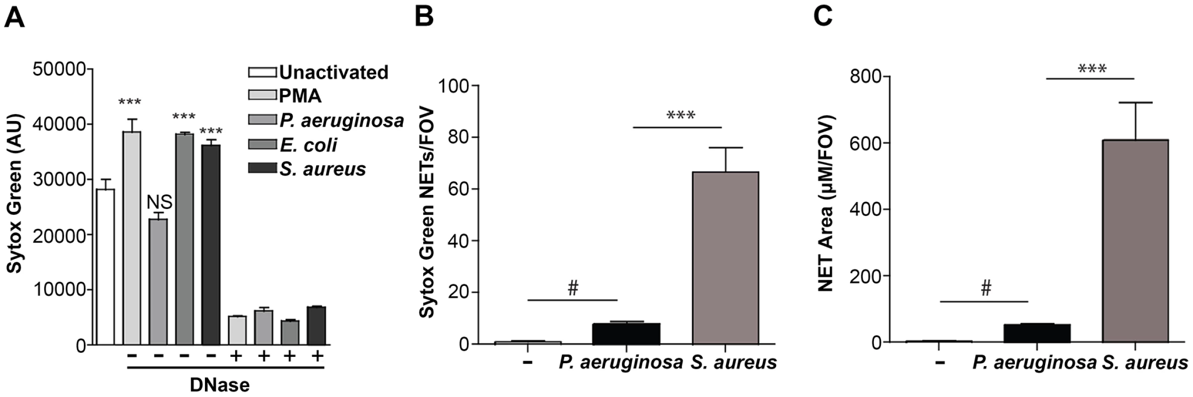 Quantification of NETosis in human neutrophils <i>ex vivo</i> and mouse neutrophils during an infection.