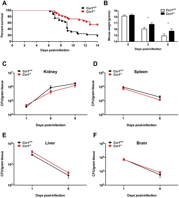 Lack of Ccr1 improves survival without affecting tissue fungal burden in a mouse model of invasive candidiasis.