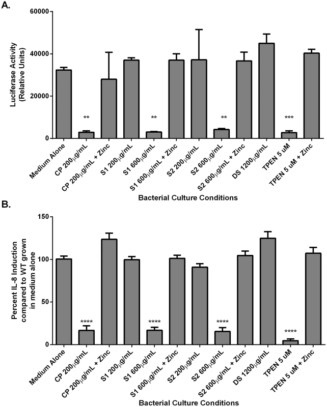 NFκB activation and IL-8 secretion in response to co-culture with <i>H. pylori</i> is dependent on zinc availability.