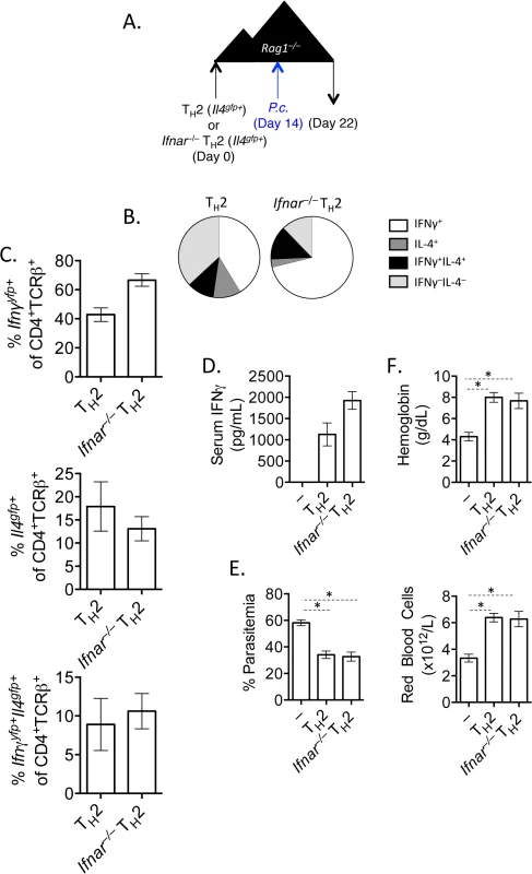 IFNγ production by Th2 cells does not depend of type I IFN.