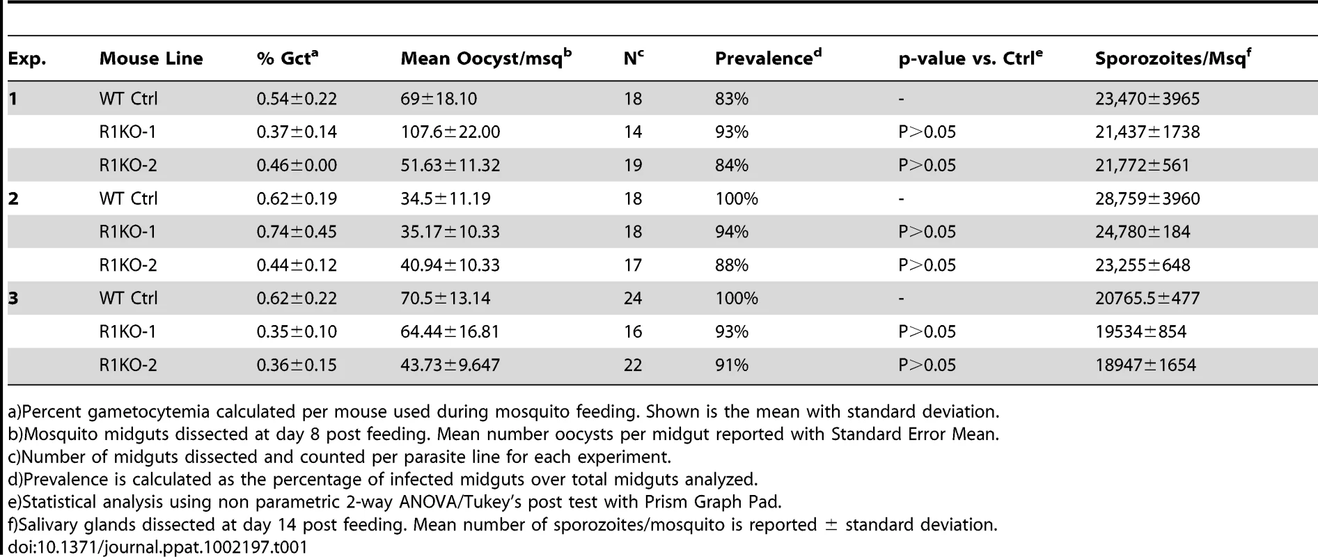 <i>PyRom1(-)</i> parasites progress normally through the mosquito vector.