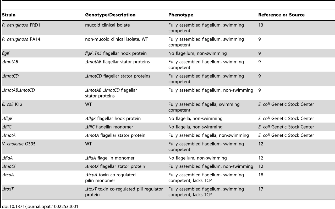 Bacterial strains used in this study.