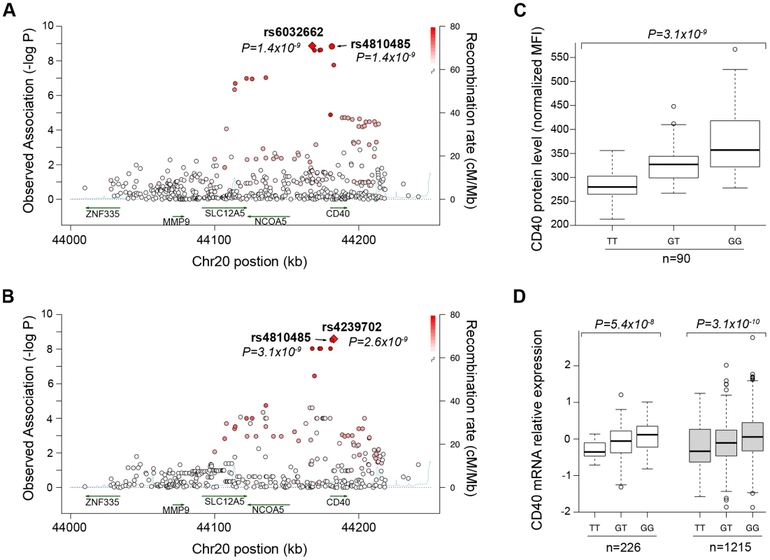 Genetic data on risk of RA and CD40 protein levels.