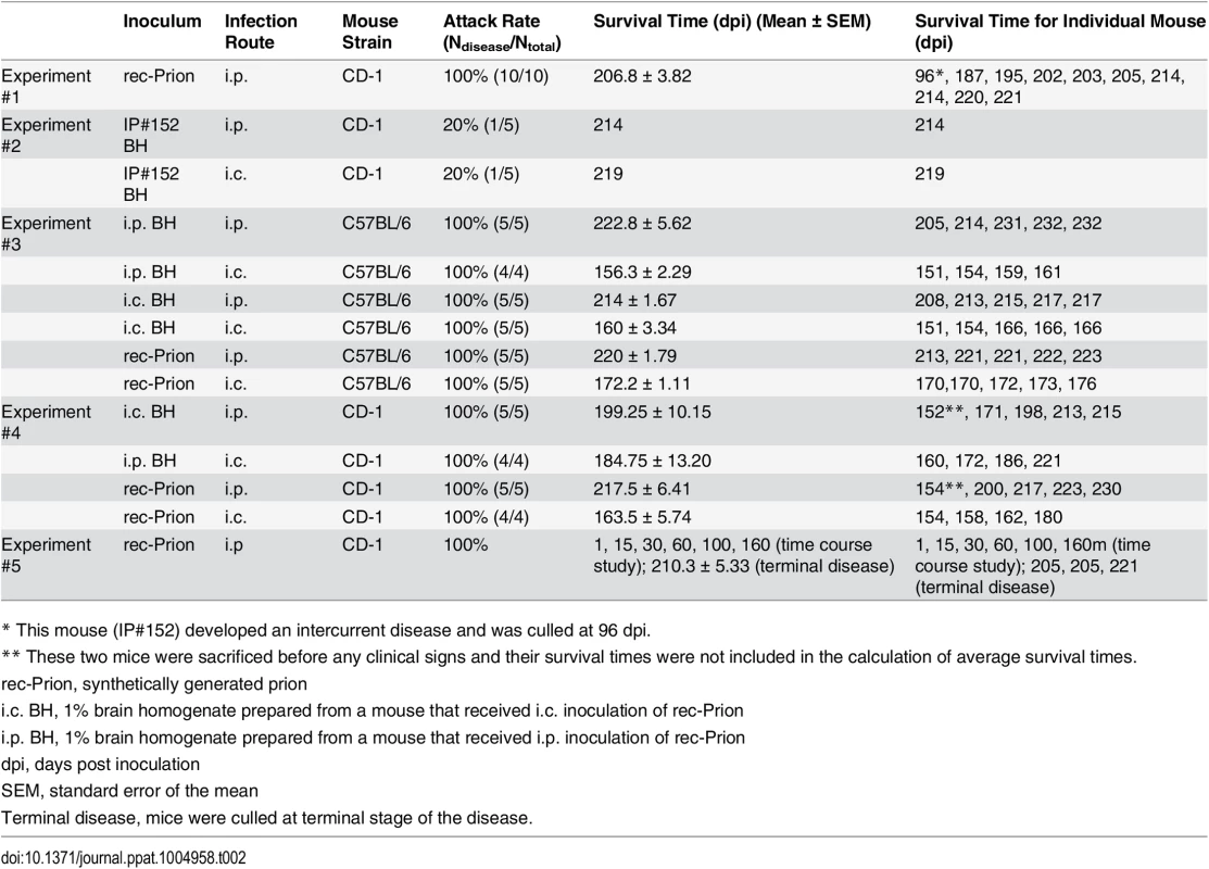 Intraperitoneal transmission studies in wild-type mice.