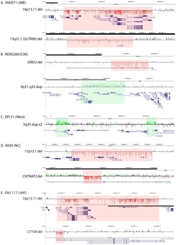 Two rare CNVs in five probands.