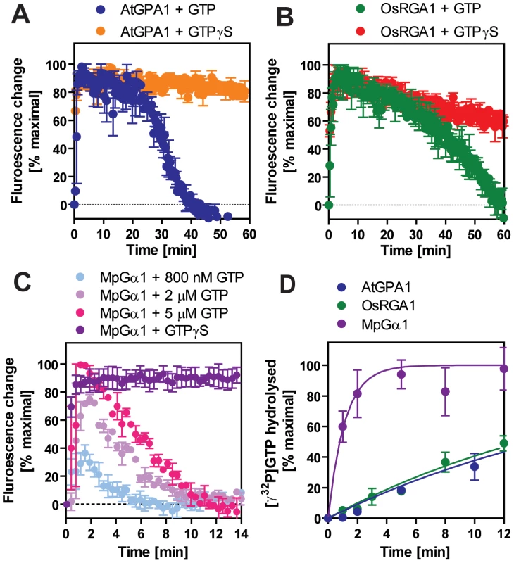 Inactivation of plant Gα subunits.