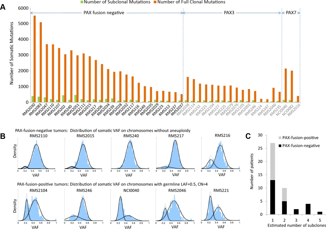 Subclonality in in 44 rhabdomyosarcoma samples.