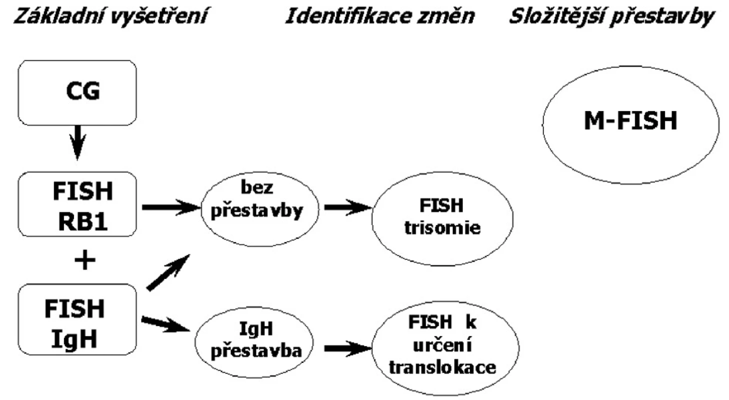 Schéma postupu vyšetření kostní dřeně u pacientů s MM.
Vysvětlivky k obrázku 1
CG - klasická cytogenetická analýza,
FISH - fluorescenční in situ hybridizace
M-FISH – Mnohobarevná fluorescenční in situ hybridizace