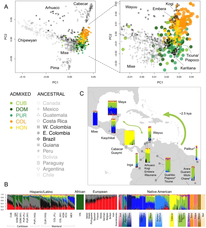 Sub-continental origin of Native American components in the Caribbean.