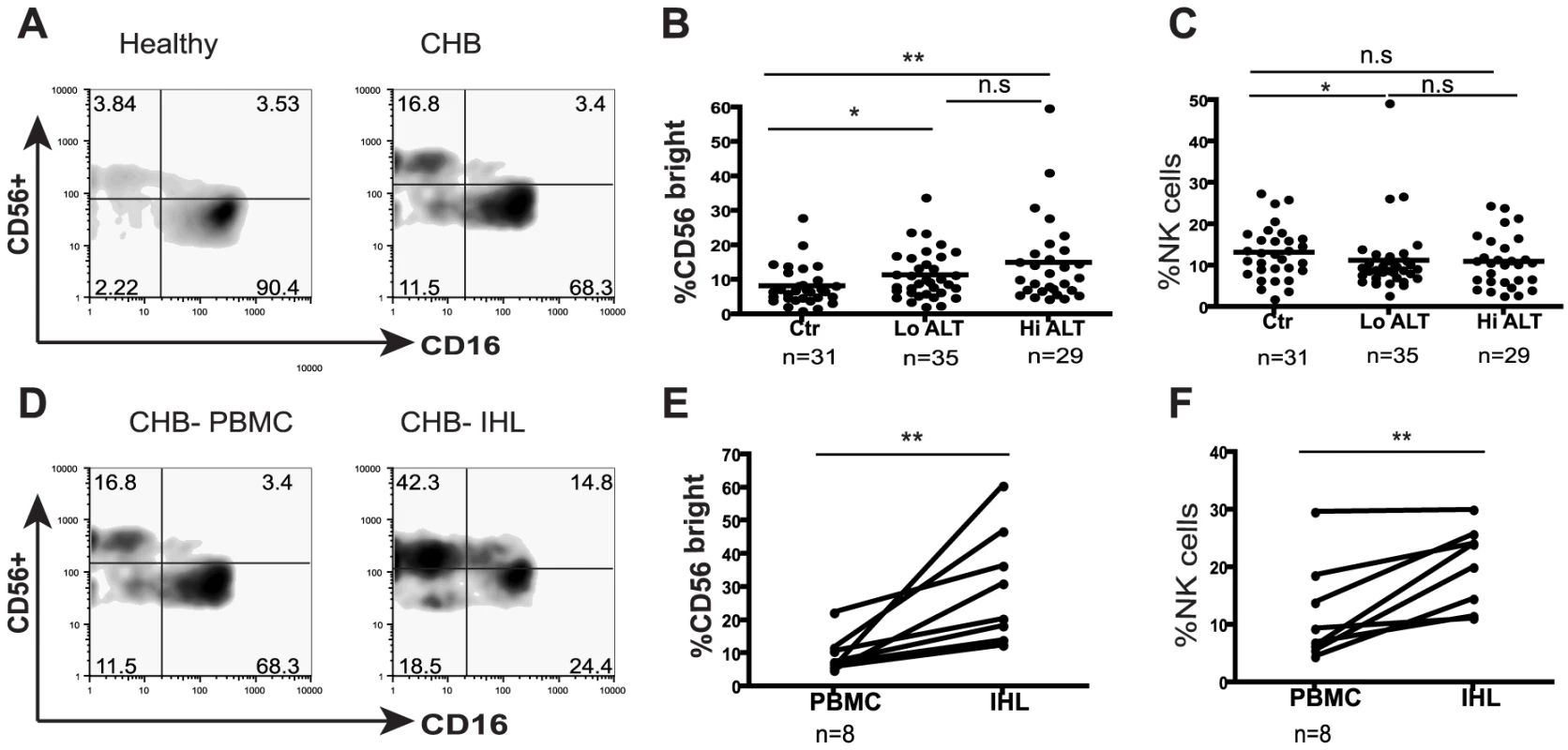 NK cell frequency and altered subset distribution in the periphery and intrahepatic compartment.