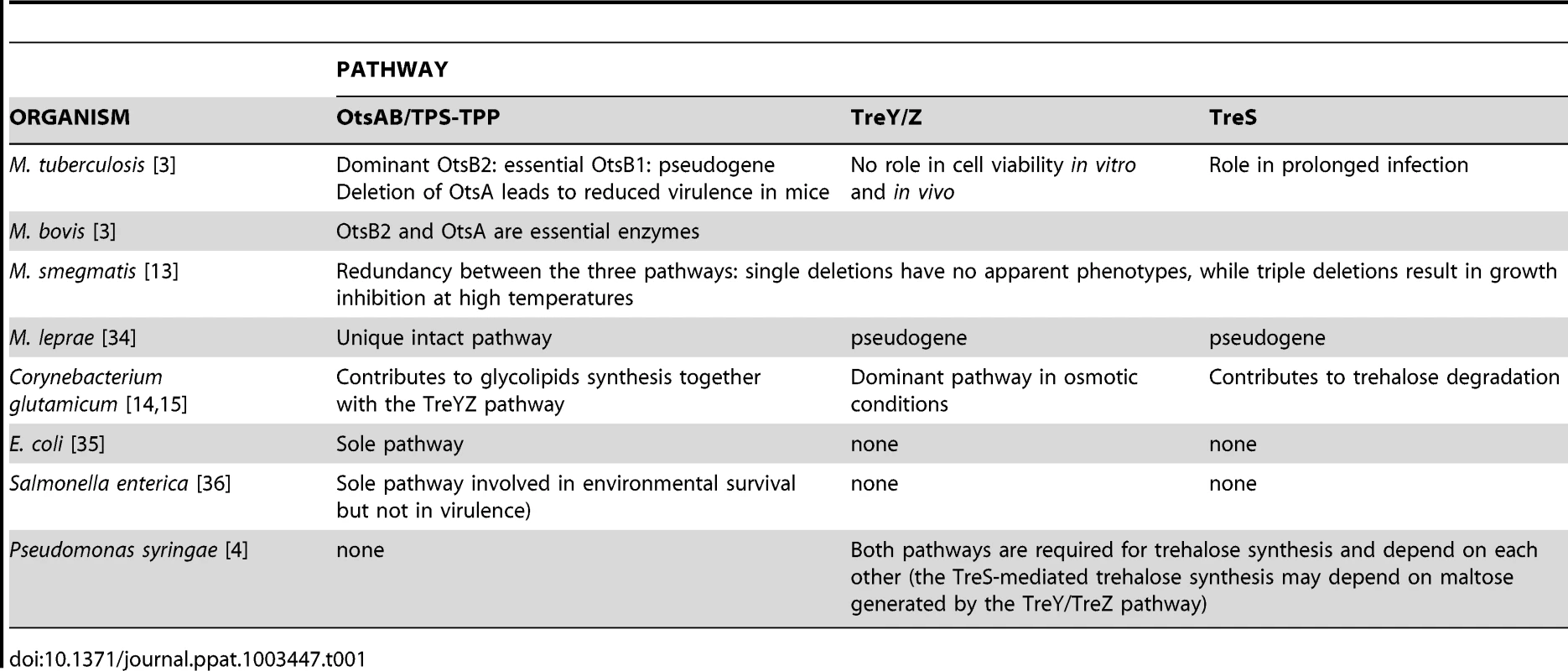 Divergence in the relevance of the three main trehalose biosynthetic pathways in the viability and pathogenicity of prokaryotes.