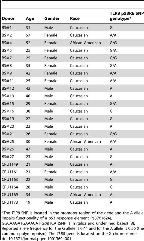 Demographics of subjects in this study and genotype information for <i>TLR8</i> p53RE SNP of donor population.