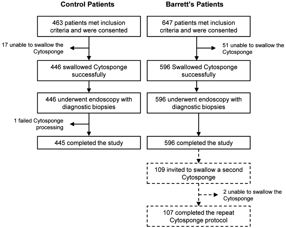 Study CONSORT diagram detailing the flow of control and Barrett's esophagus patients (cases) through the study.