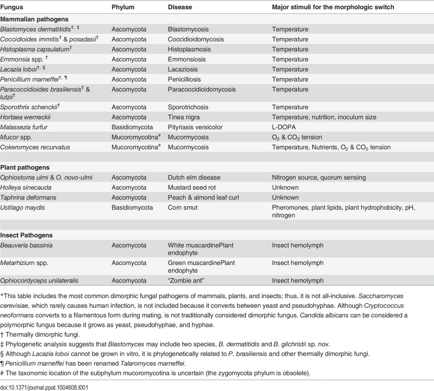 Dimorphic fungal pathogens.