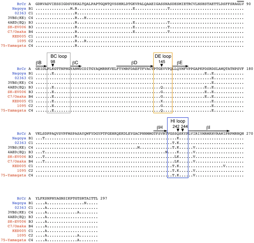 Alignment of EV71 VP1 sequences.