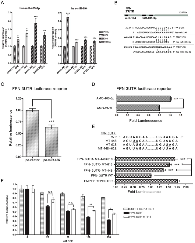 MiR-485-3p directly targets FPN.