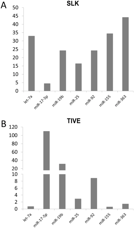 Quantitative RT-PCR analysis of miRNAs in latently KSHV-infected SLK and TIVE cells.