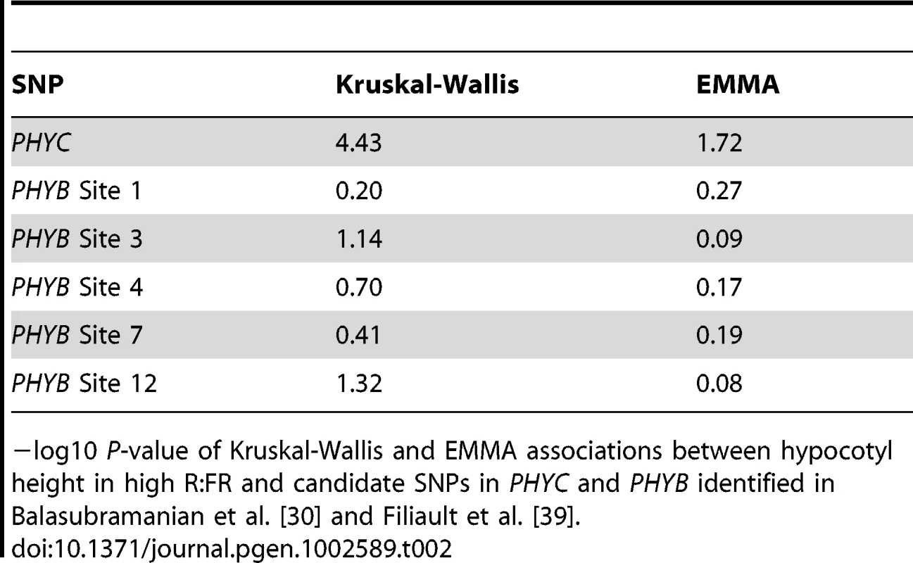 Associations with previously-identified SNPs in <i>PHYC</i> and <i>PHYB</i>.