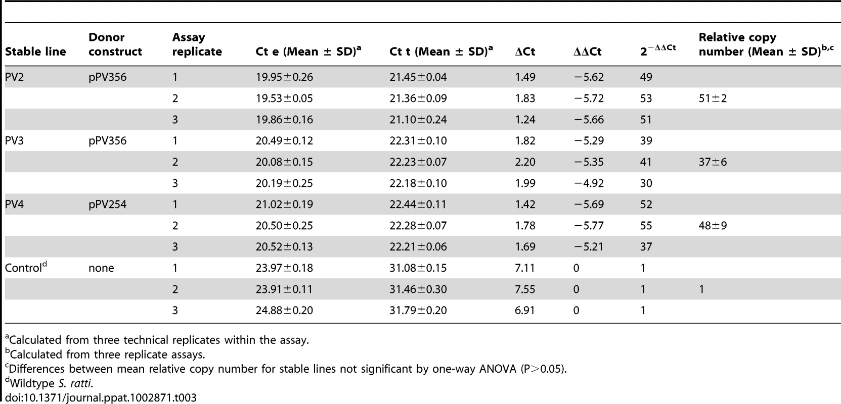 Analysis of relative transgene copy number via qRT-PCR for stable transgenic lines of <i>S. ratti</i> transformed with the <i>piggyBac</i> transposon system.