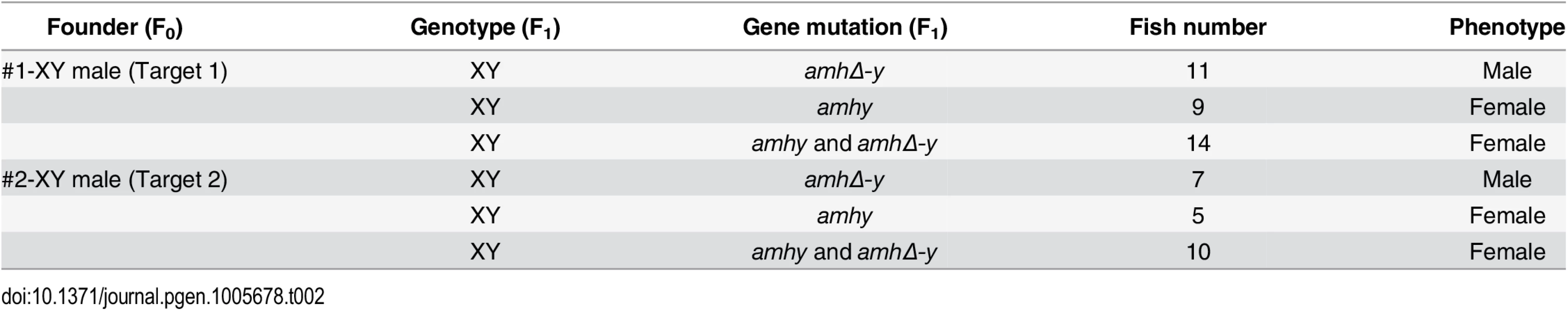 Phenotype of F<sub>1</sub> XY fish with <i>amhy</i>/<i>amhΔ-y</i> mutations.
