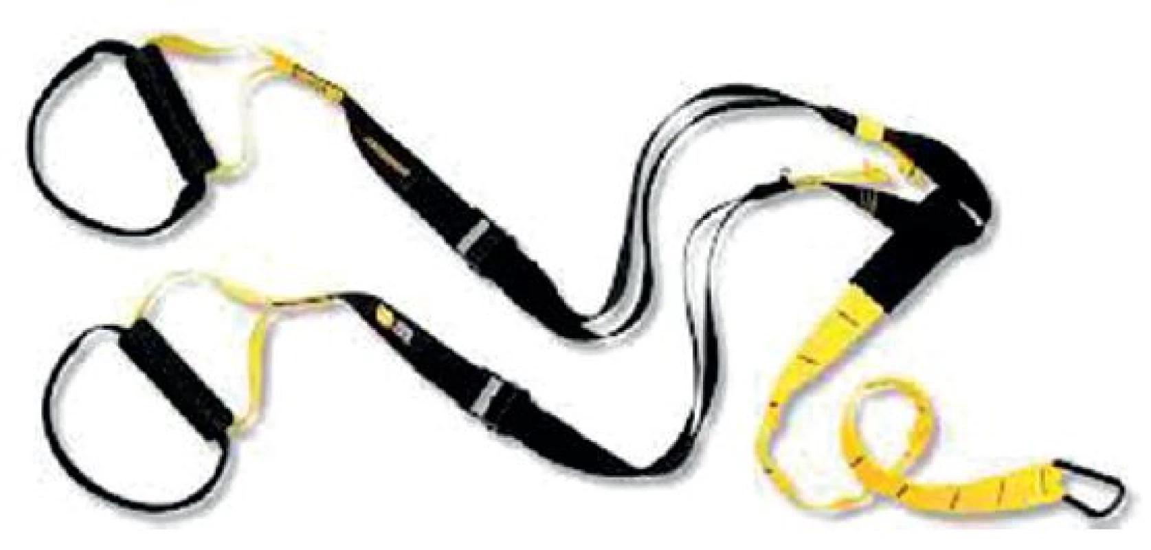 TRX Suspension Trainer.