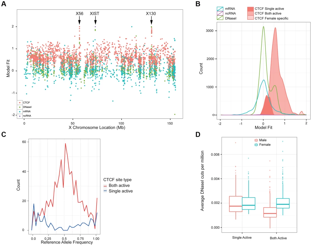 Properties of X chromosome CTCF sites.