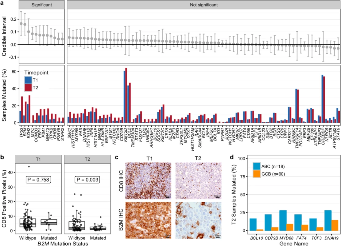 Results from targeted sequencing of 86 genes in samples from 159 transformed follicular lymphoma patients (128 T1 and 149 T2 samples).