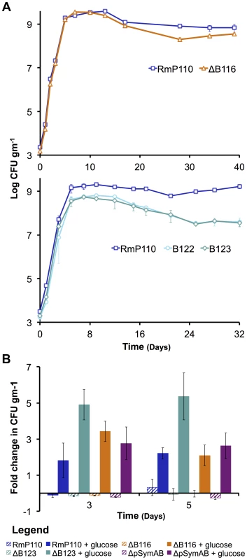 The decreased stationary phase density of strains lacking pSymB in bulk soil is due to carbon limitation and can be traced to two loci.