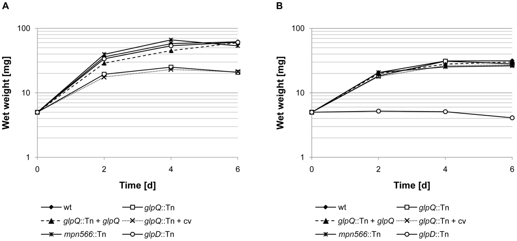 Growth of <i>M. pneumoniae</i> in modified Hayflick medium containing different carbon sources.