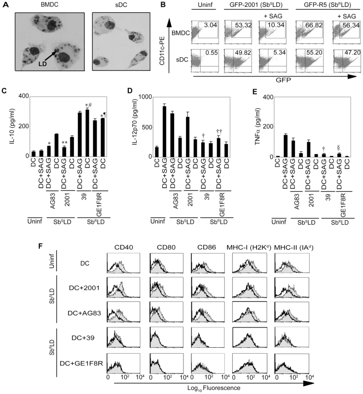SAG treatment exhibits differential effect on Sb<sup>R</sup>LD- and Sb<sup>S</sup>LD-infected DCs.