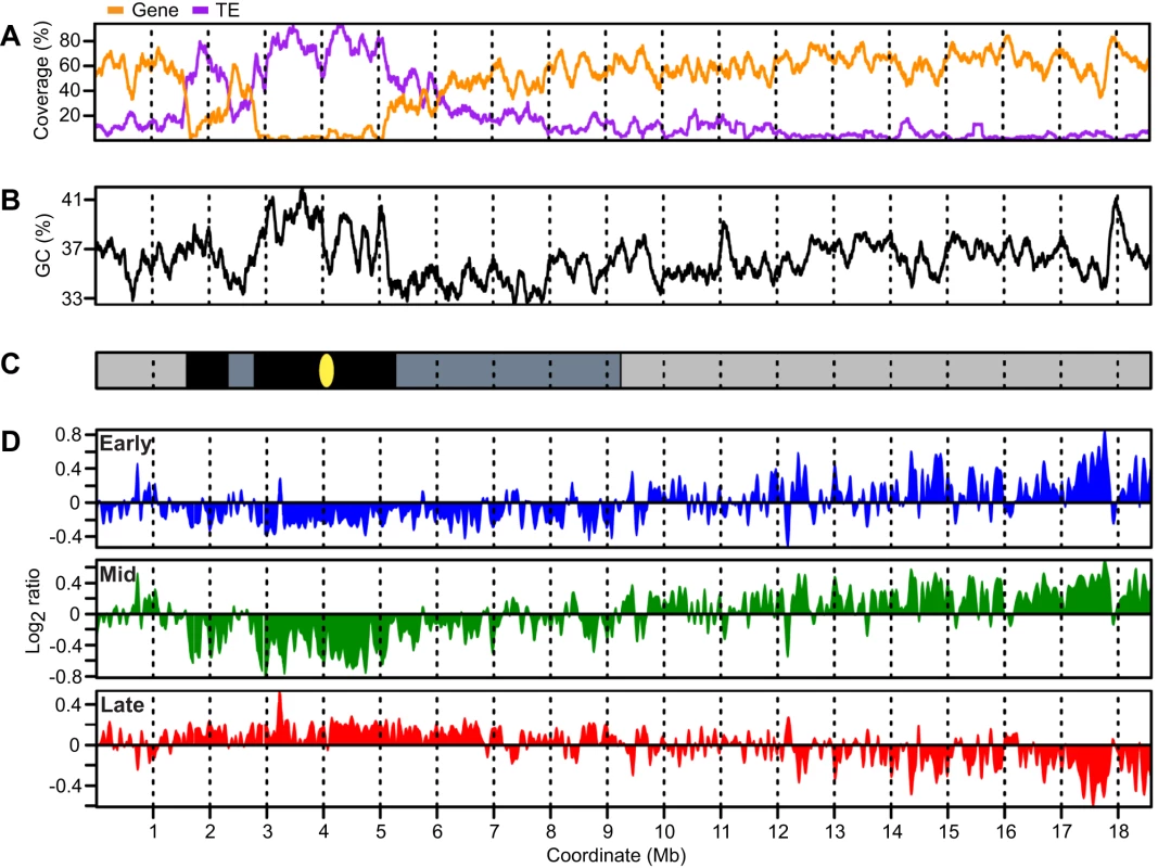 <i>Arabidopsis</i> chromosome 4 with replication profiles for early, mid, and late S phase suspension culture cells.