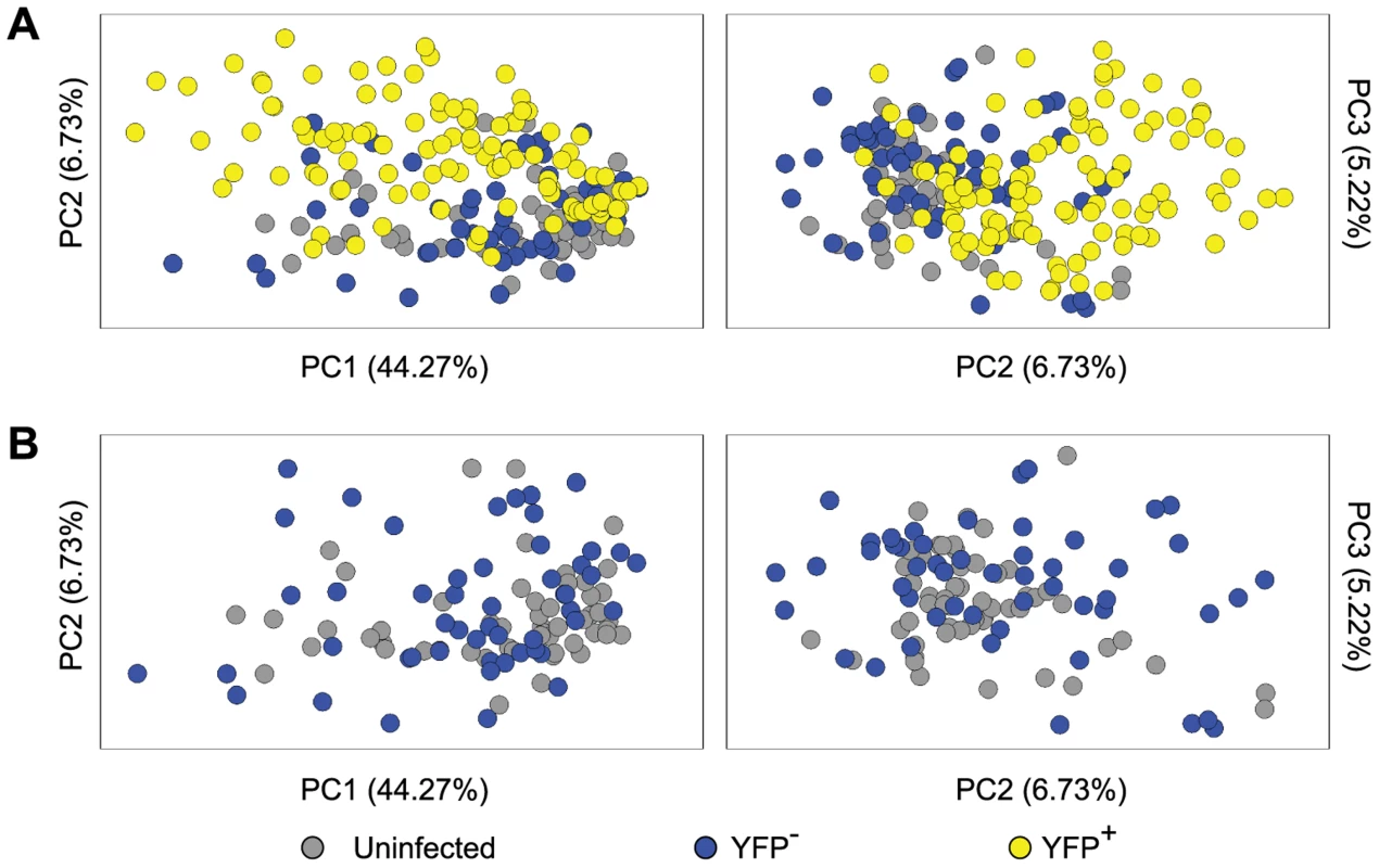 Single cell gene expression profiling reveals the transcriptional response of infected neurons towards latent HSV.