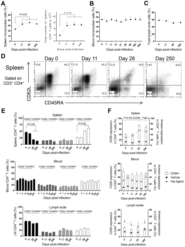 CD4 T cell dynamics in <i>L. infantum</i>-infected rhesus macaques.