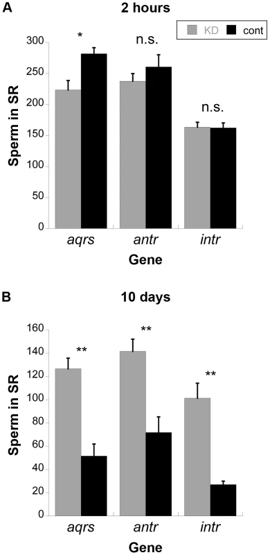 Average number of sperm stored in the seminal receptacles (SR) of wild-type females mated to knockdown or control males for new SP network proteins.