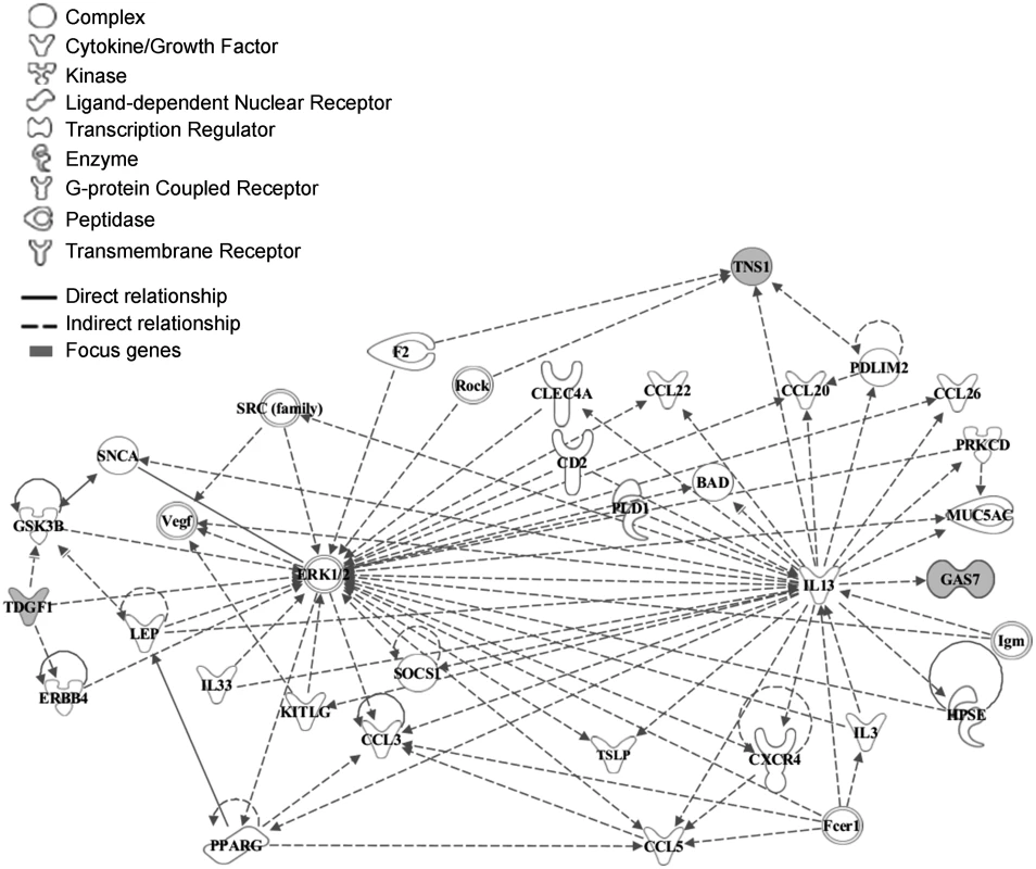 Functional analysis of the associated genes.
