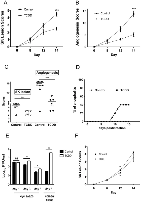 Preventive administration of TCDD diminishes SK severity.