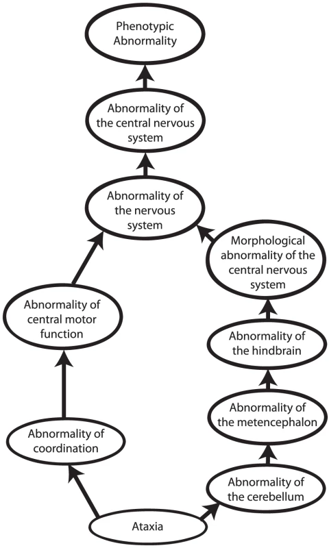 Phenotype ontologies.