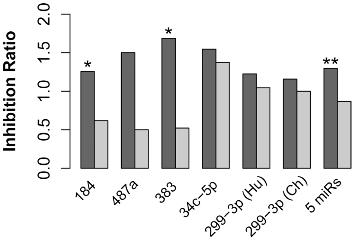 miRNA with human-specific expression showed negative association with expression of their target genes on the human evolutionary lineage.