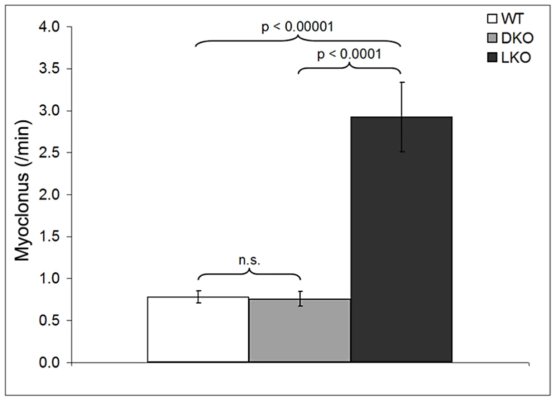 Myoclonus per minute in wt, DKO, and LKO mice.